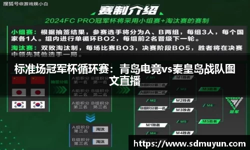 标准场冠军杯循环赛：青岛电竞vs秦皇岛战队图文直播