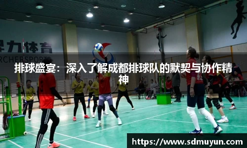 排球盛宴：深入了解成都排球队的默契与协作精神