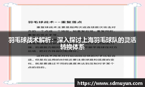 羽毛球战术解析：深入探讨上海羽毛球队的灵活转换体系
